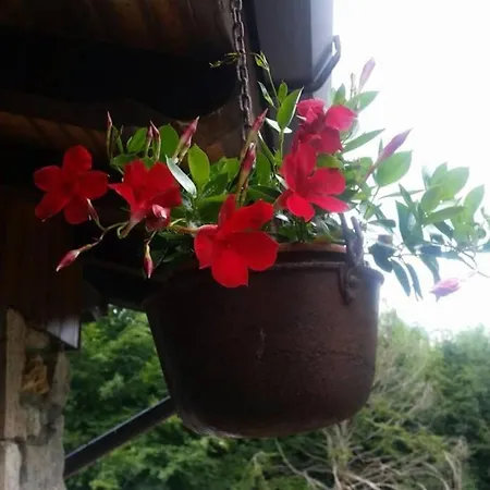 Rustic Cabin בקתה Pozzis