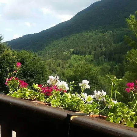 Chalet Rustic Cabin *