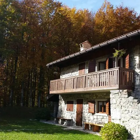 Rustic Cabin Chalet